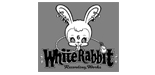 WHITE RABBIT RECORDING WORKS